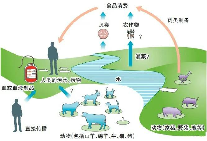 图片2_20210603164047_406.png